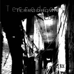 Terrodrown : Ruined Nation